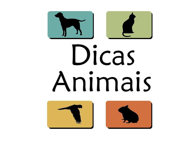 dicas animais